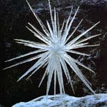 Andy Goldsworthy Ice Sculpture 