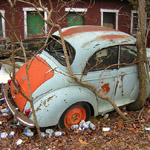 Morris Minor with a tree growing through and around it
