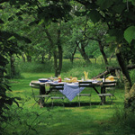 Alfresco dining