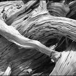 Sun-Bleached timber 