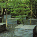 Slate Cubes with Bamboo 