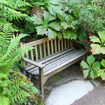 Bench swamped with plants