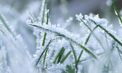 Garden Design Leicester, Nottingham, Derby.