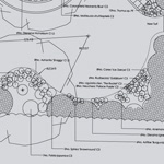 planting plan